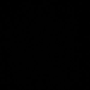 Meet your Posher, Bella